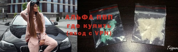 прущие крисы Надым