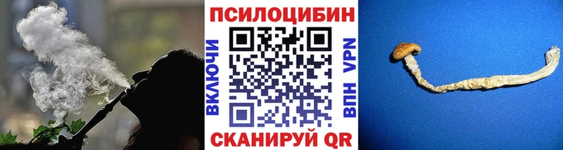 OMG ТОР  Электросталь  Псилоцибиновые грибы мухоморы 