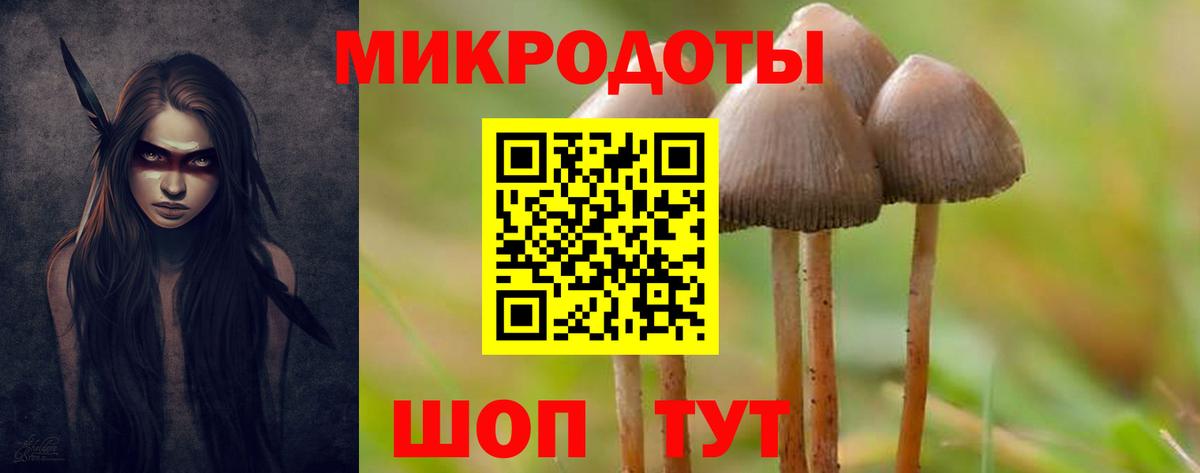 Галлюциногенные грибы Cubensis Электросталь